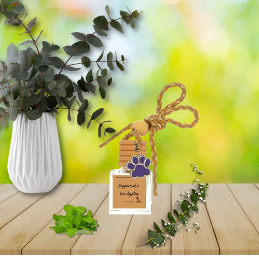 Peppermint & eucalyptus car diffuser