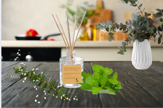 Peppermint & Eucalyptus Reed diffuser